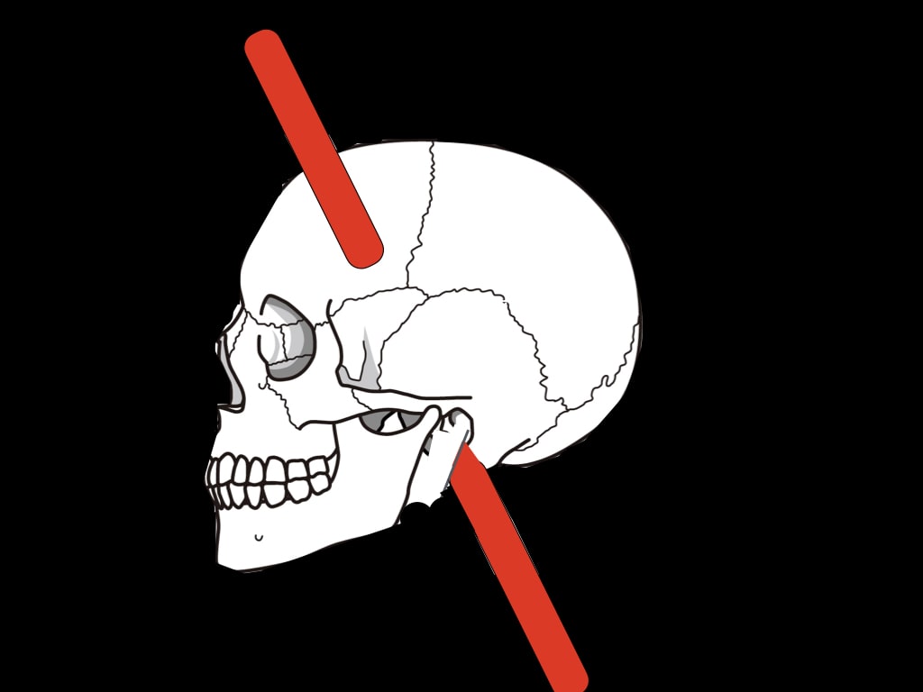 脳トレ 前頭葉を鍛える6つの方法とは 前頭葉の歴史や特徴を知る ライフカクメイ